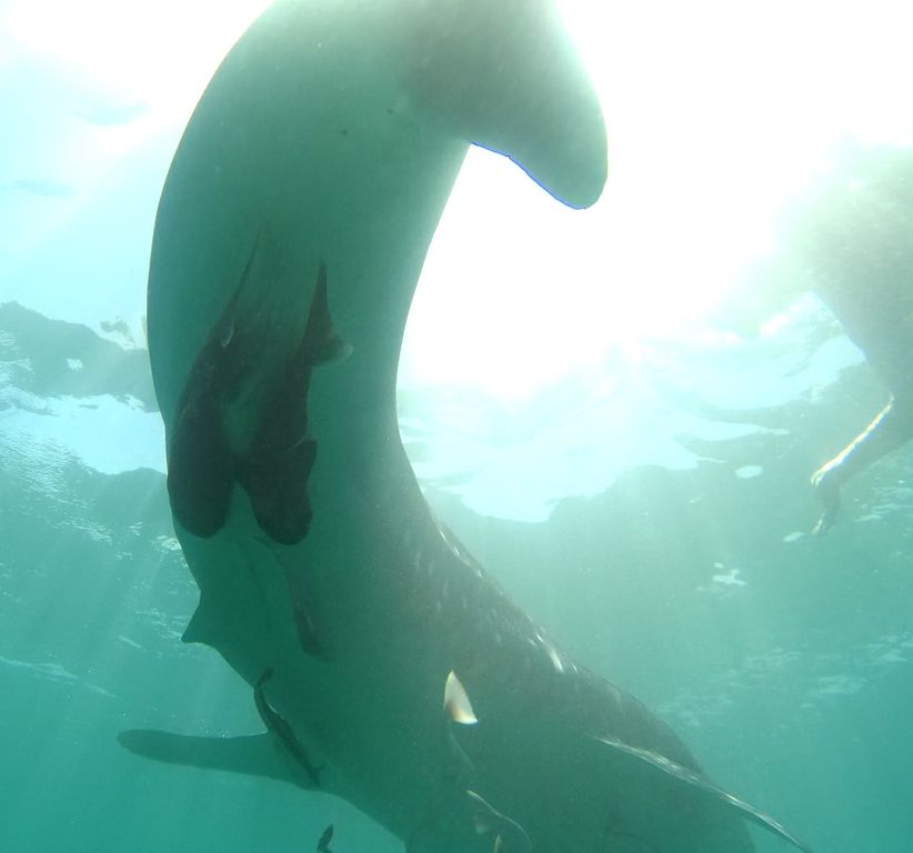 30d333fe-15af-4d73-a9c8-47cd9cd7a7c4