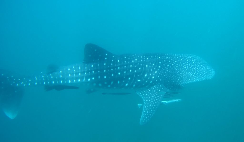 30d333fe-15af-4d73-a9c8-47cd9cd7a7c4