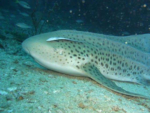 1e37fcf8-142c-4369-951d-8cac2ad7d6ea