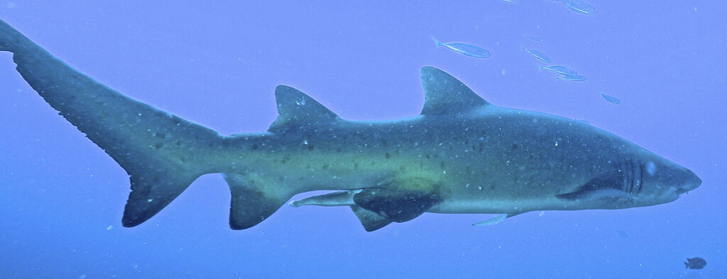 451d2b02-0b16-42be-872e-bddecea7eca2