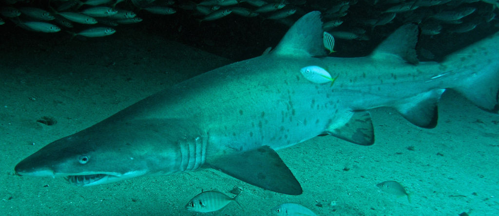 b965b5e6-d382-409e-9dc6-b0ebb62eb3c3