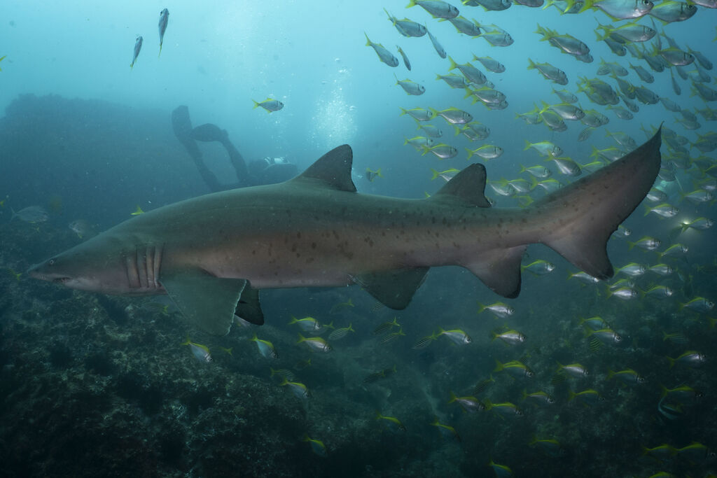 3959fcd7-a90c-47fe-8bd0-e5cdbba3165b