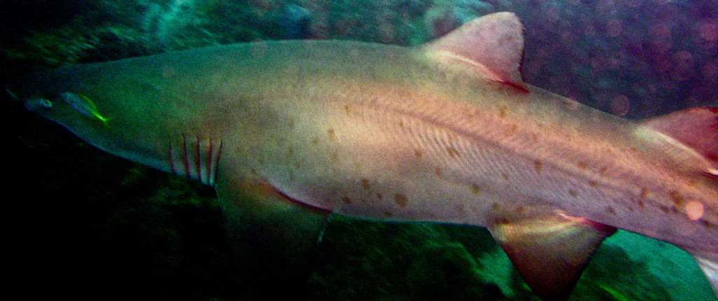 7ecc17cb-1e84-4f56-a871-23bf9b466afa