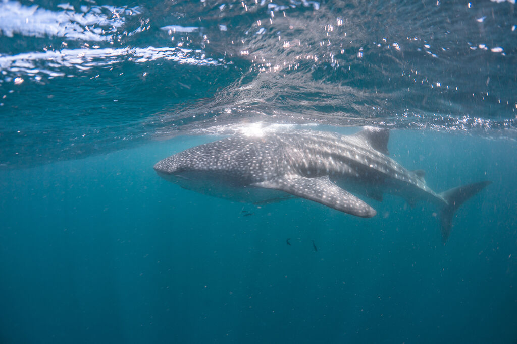 00bbd222-1c68-4ab5-a6c3-b6c7c74bf5aa