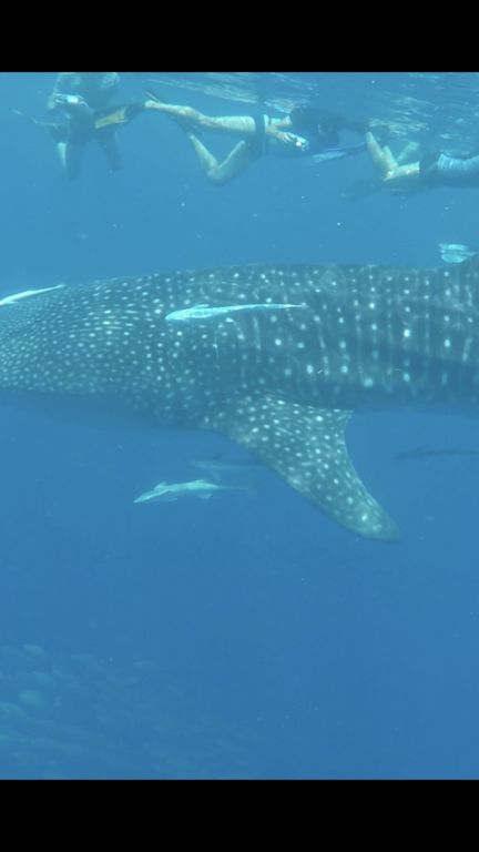 2046de36-1ee8-4247-8f86-ffb3f8d2a0f7