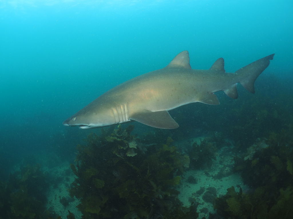 1645b24b-a54e-4ff0-b053-2cc3f0d0205d