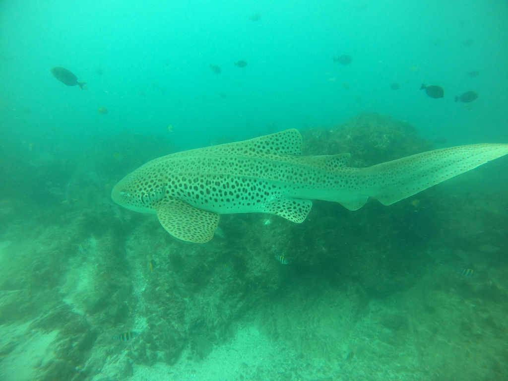 e3f01a09-dfda-456a-a2ce-b2405fe9bdc7