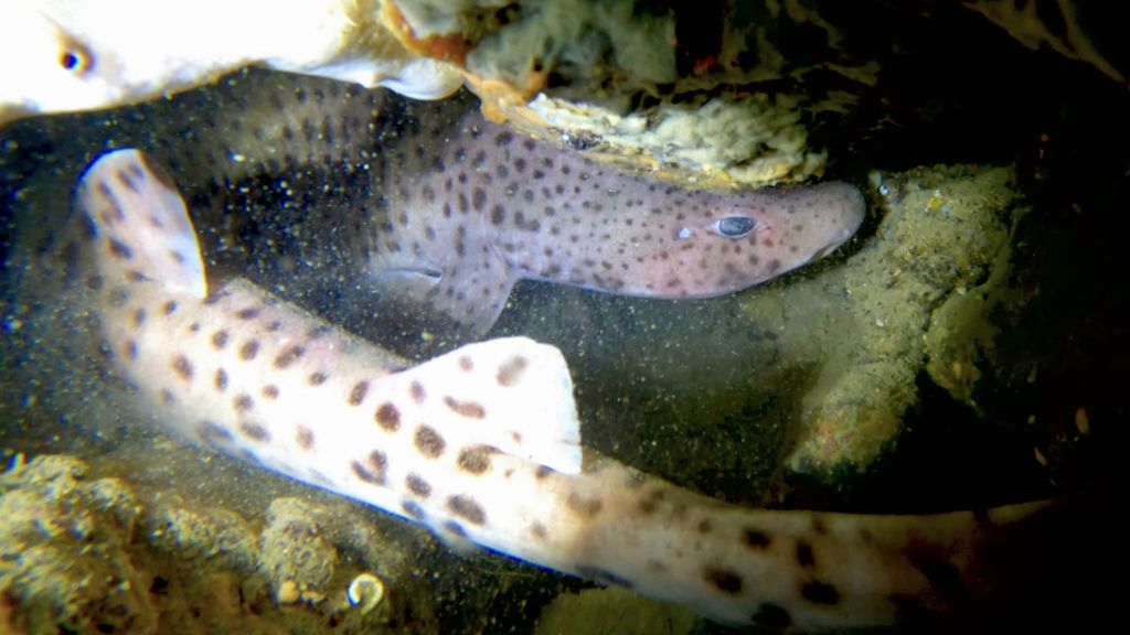 a017df27-1a08-4597-837f-c5216b1167d7