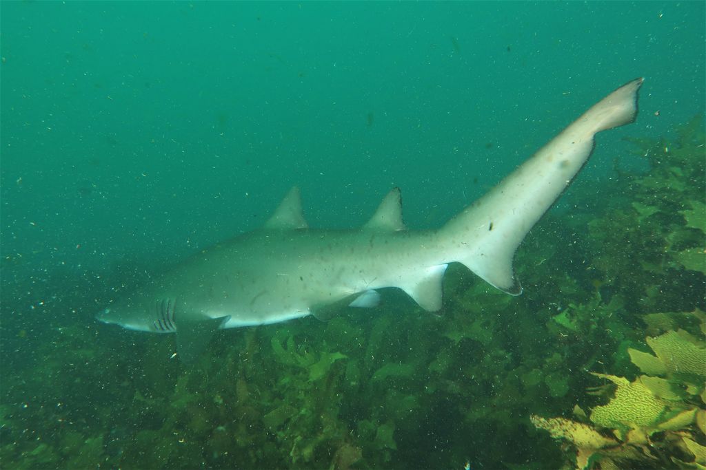 9b8c2b50-4359-4a8f-aa05-084c9928eb25