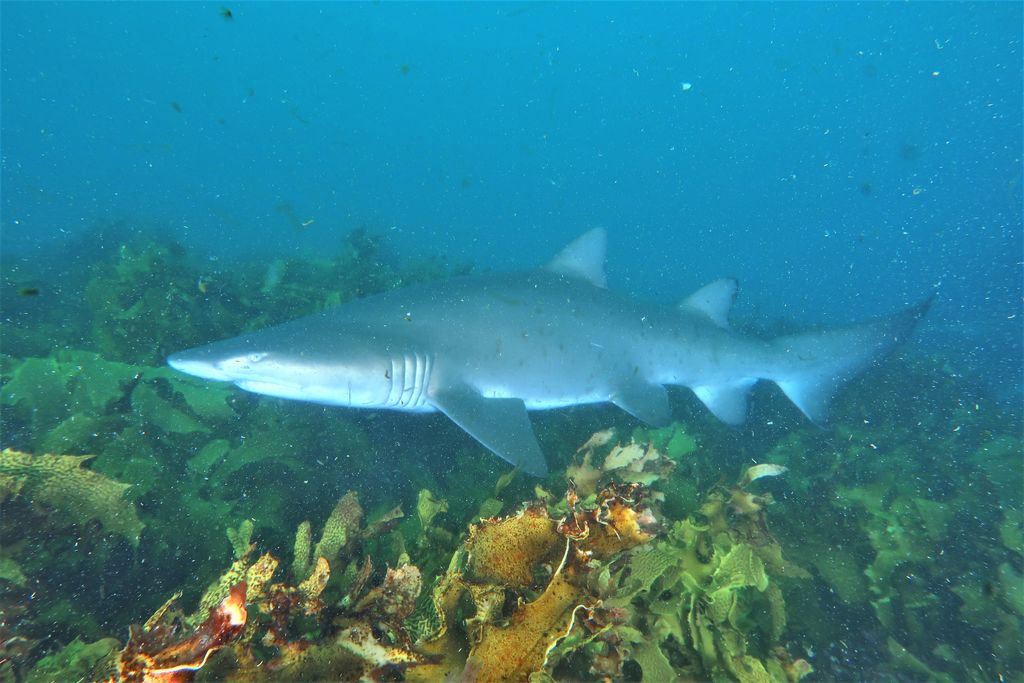 9b8c2b50-4359-4a8f-aa05-084c9928eb25