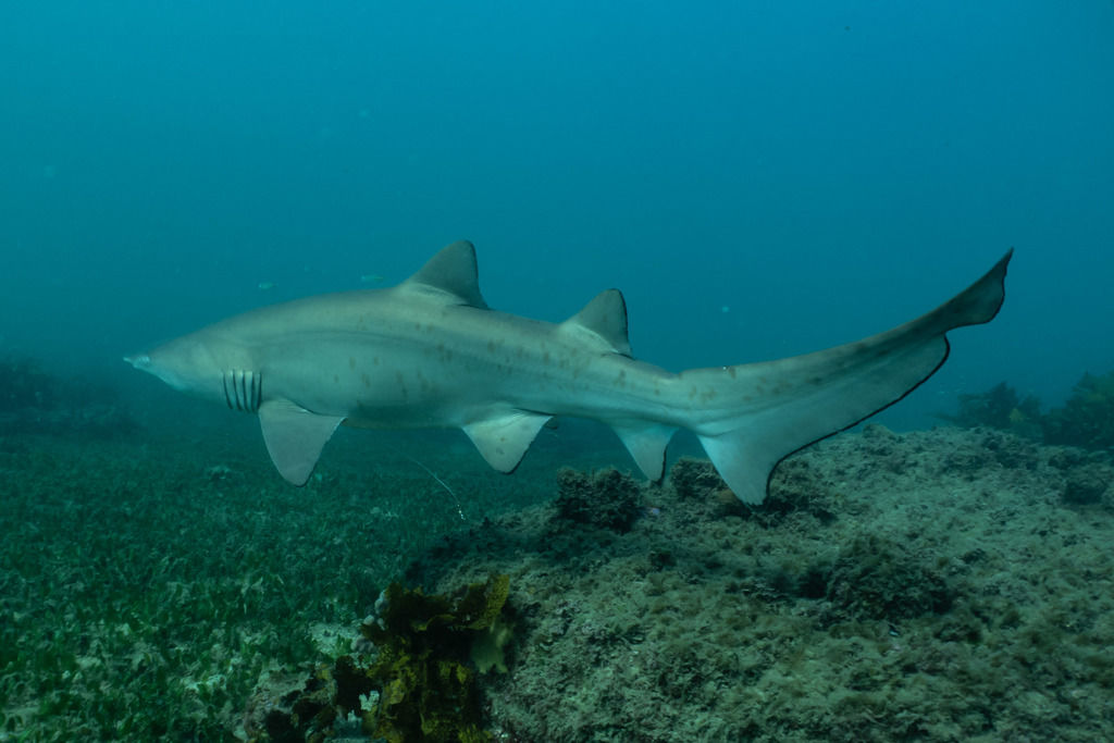 1934f939-913b-427b-83b8-dac34a906f76