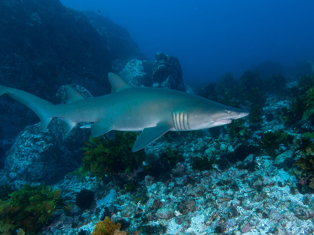 6602271b-3422-4ed4-be6c-6bf9e338aa73