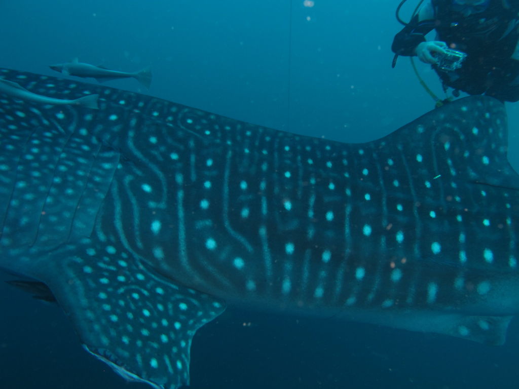 07417490-aef3-4522-b504-94a73afd955c