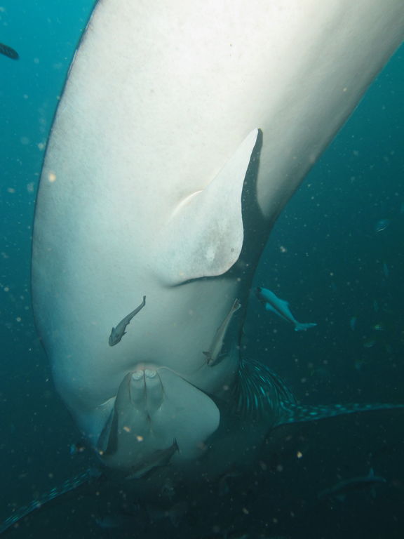 07417490-aef3-4522-b504-94a73afd955c