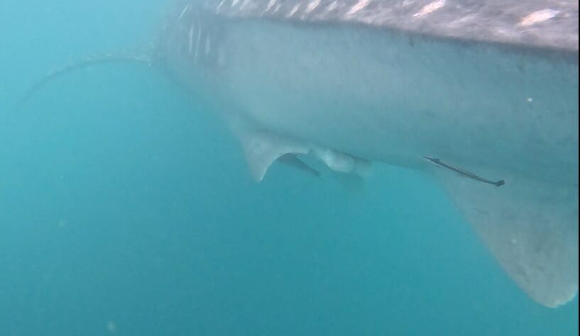 20b42ba3-5493-47e9-9acb-ff70a9cedcec