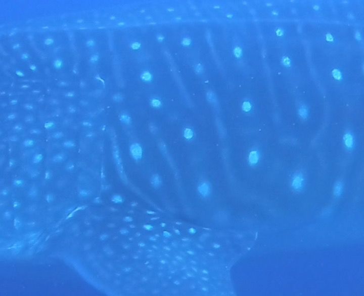 484a4d89-a118-4305-b7e0-3d42aec2484c