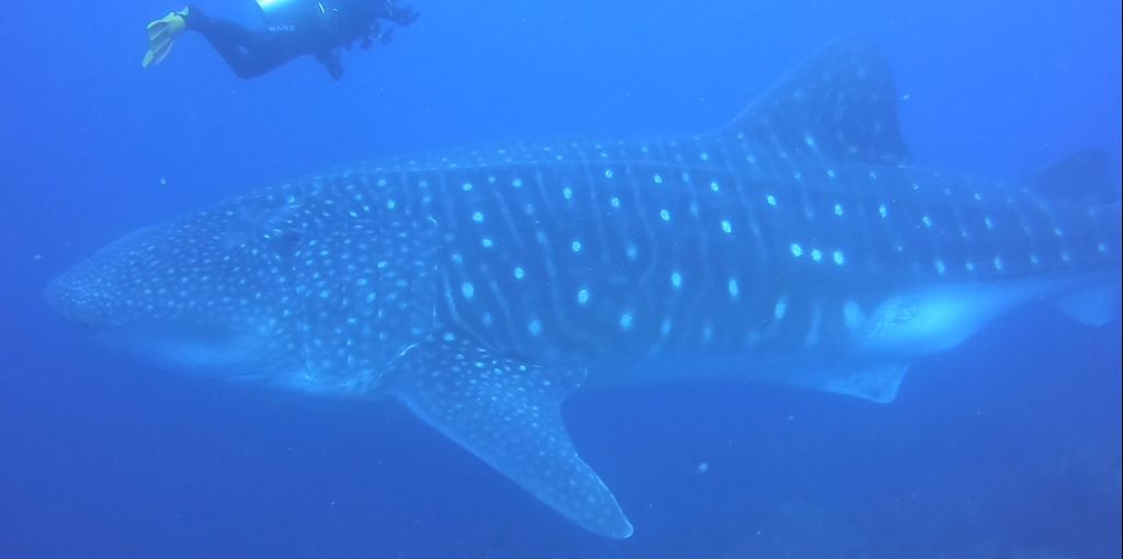 484a4d89-a118-4305-b7e0-3d42aec2484c