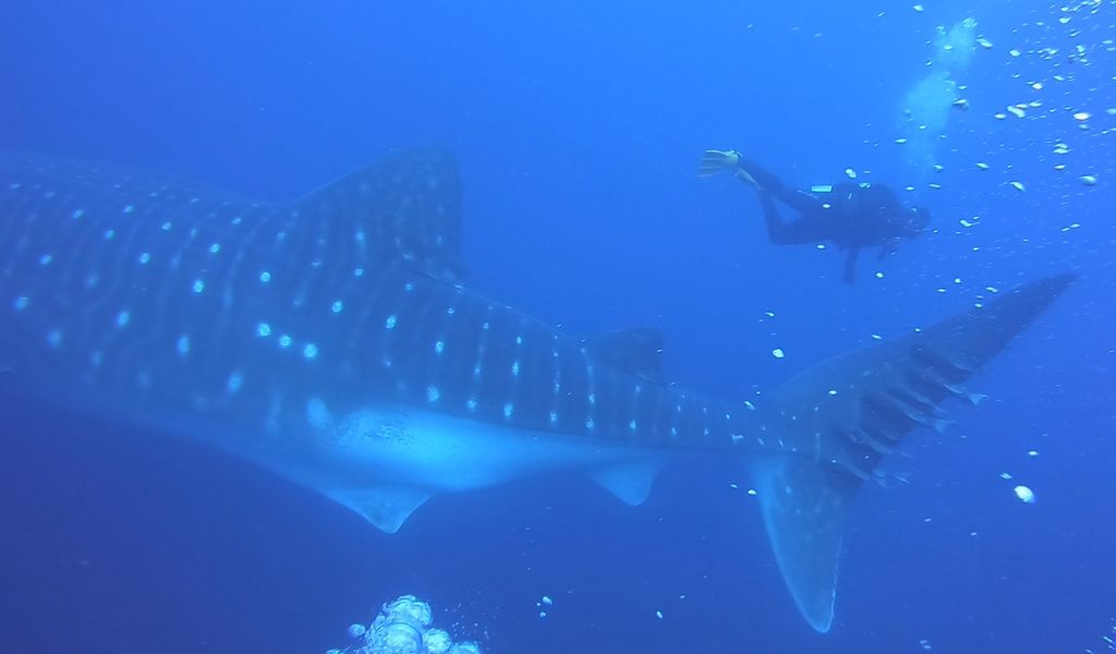 484a4d89-a118-4305-b7e0-3d42aec2484c