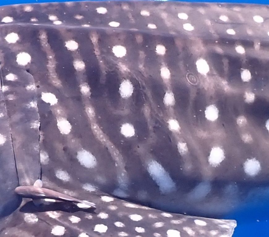 b8518758-fa54-496a-8d55-c91e0c6297f6