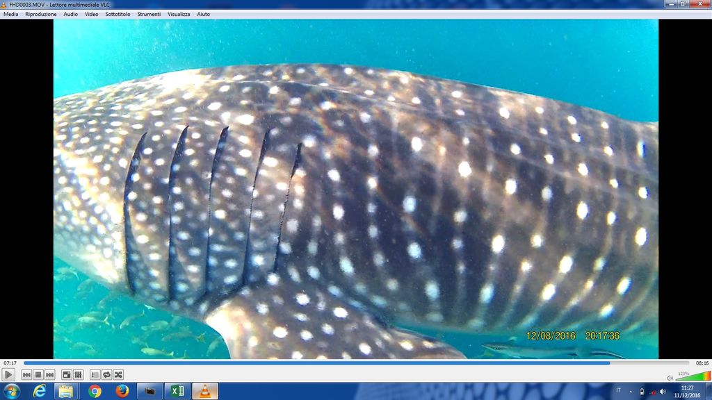 0a8c5ac1-4e89-47a7-b978-627eb9ea48e0