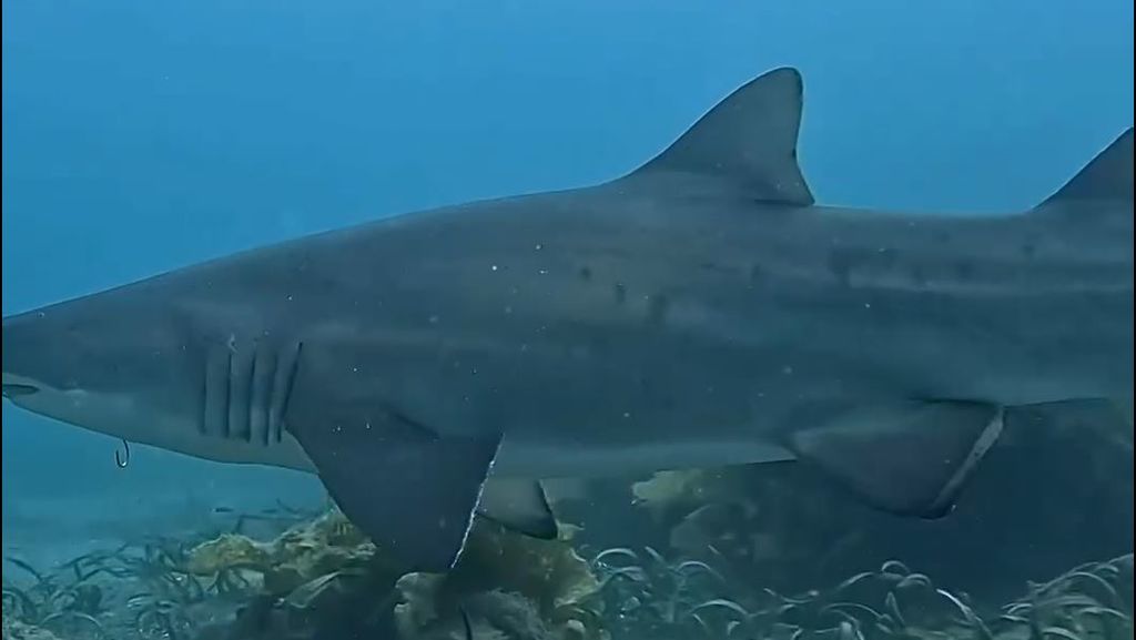 a9bb96c3-0d1f-4c39-b905-8f5c06ef7ff5