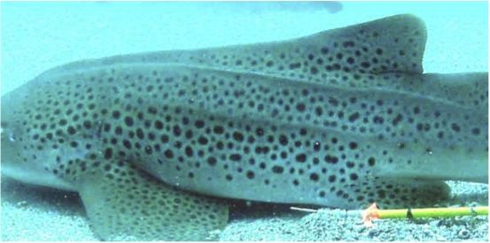 90eb7096-9b3f-48a2-bc04-6dccea1abade