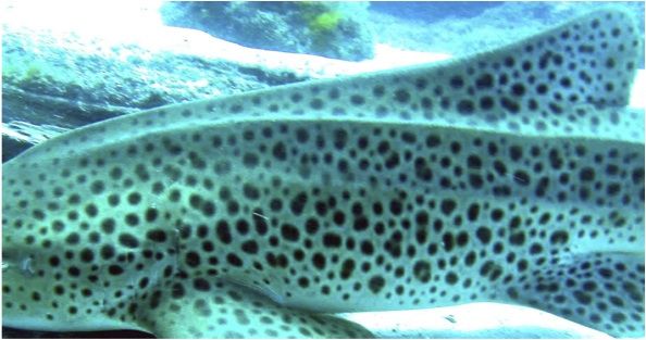 96d63e6e-2b59-442a-be84-7ebbc7c31257