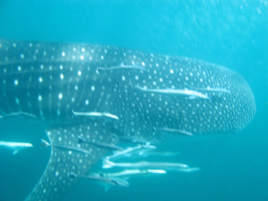 d7bec862-ab8b-4396-af2f-96f1bdb05c65