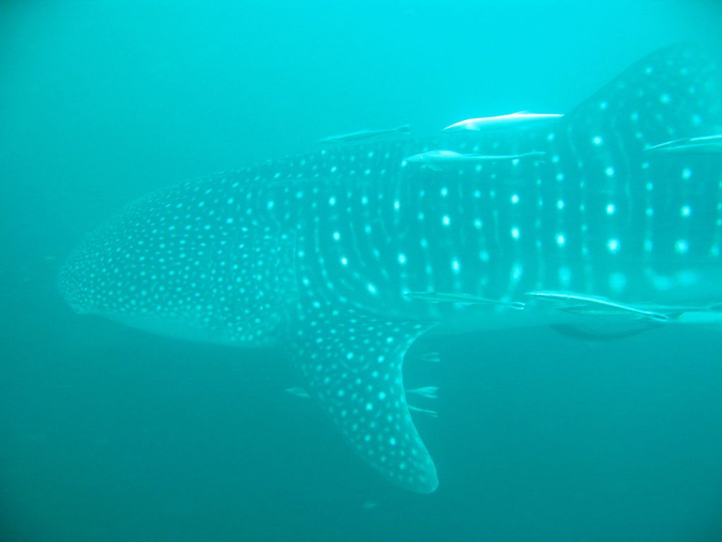 d7bec862-ab8b-4396-af2f-96f1bdb05c65