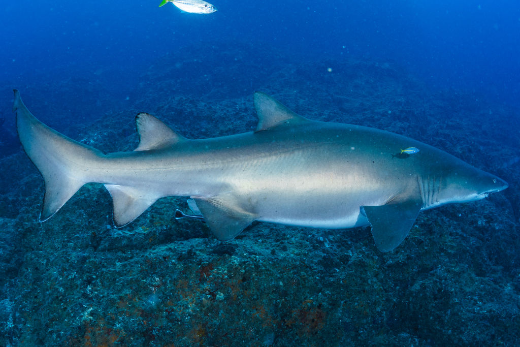 582d1773-2649-4879-ab6a-1ab7f0002575