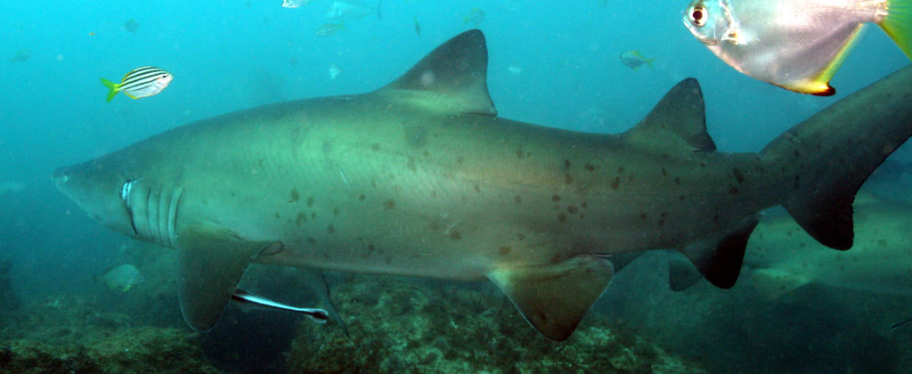 e27d2dc4-9a61-4ed8-a7e7-054183b8b6a0