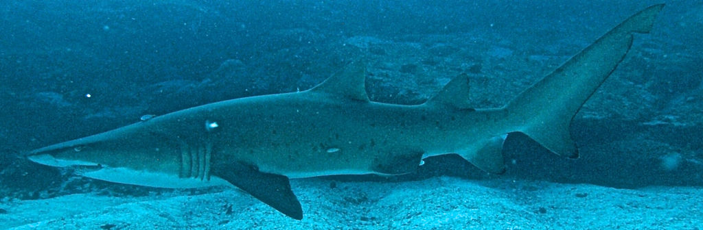 2e645350-a0bc-4116-93b8-376172974b2d