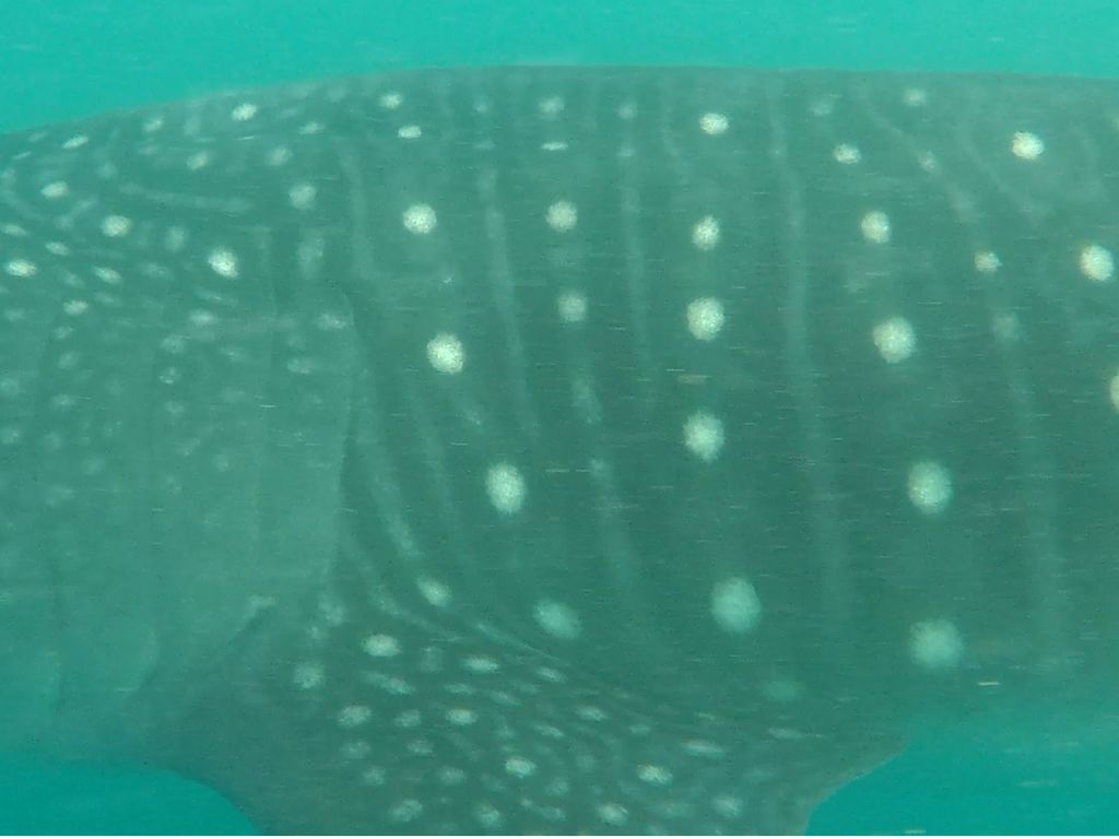 9c7af8e9-811b-412c-8084-313d06be554a