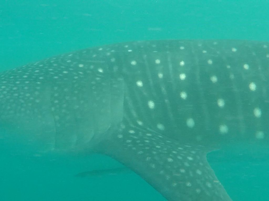 9c7af8e9-811b-412c-8084-313d06be554a