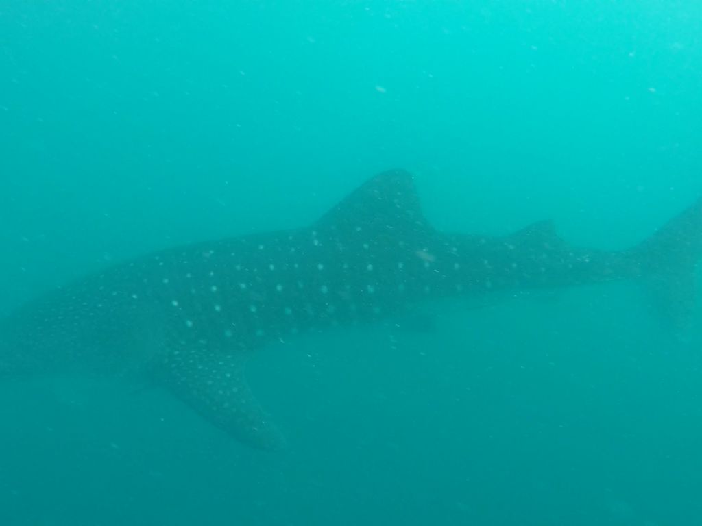 9c7af8e9-811b-412c-8084-313d06be554a