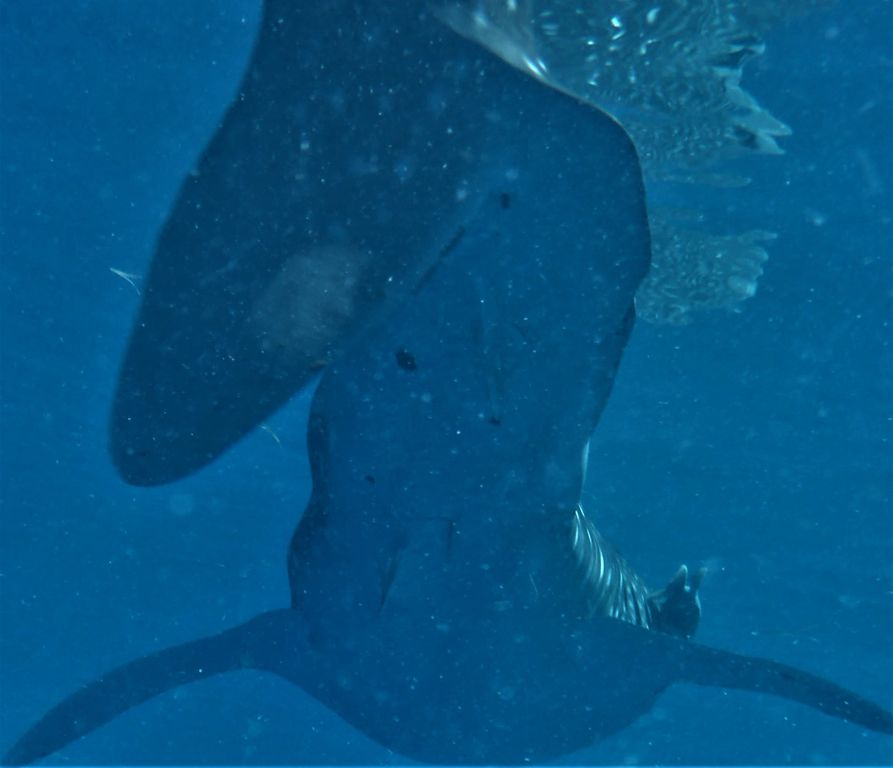 85455827-1eec-4288-8e4f-fd81eba78934