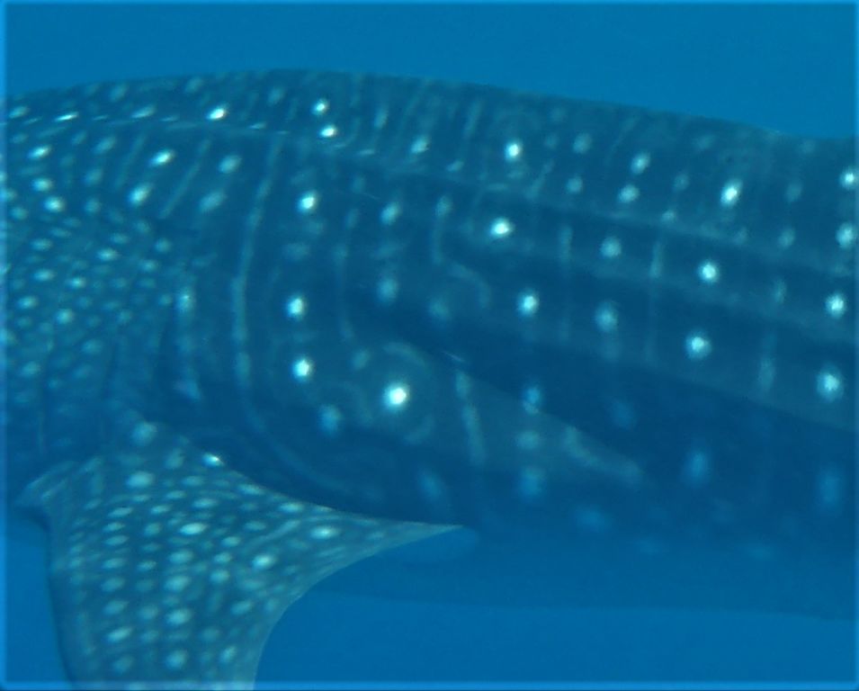 85455827-1eec-4288-8e4f-fd81eba78934