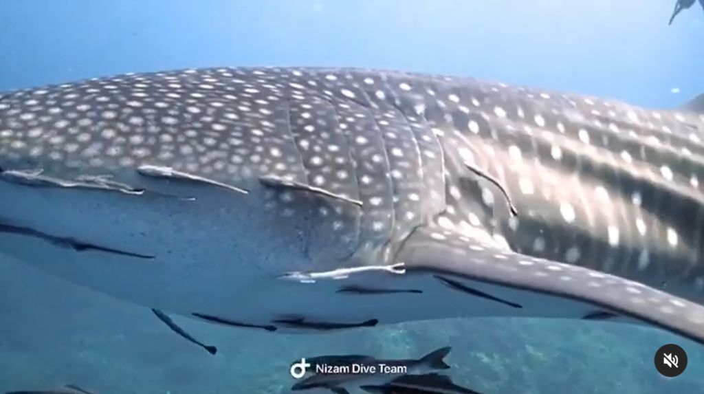 a5465b78-32bc-4f74-8008-51fa8d91da6c