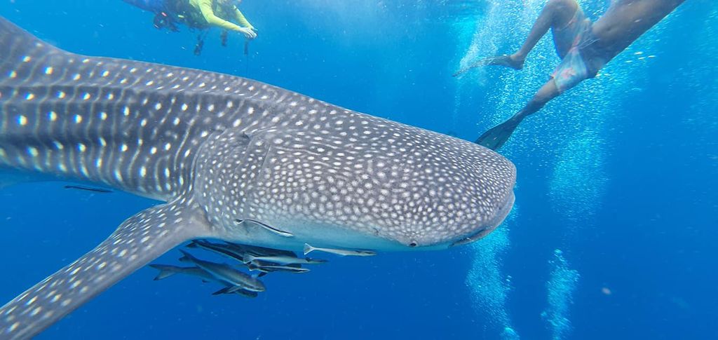 da530cd3-e6da-487e-80fd-f423790c8e4b