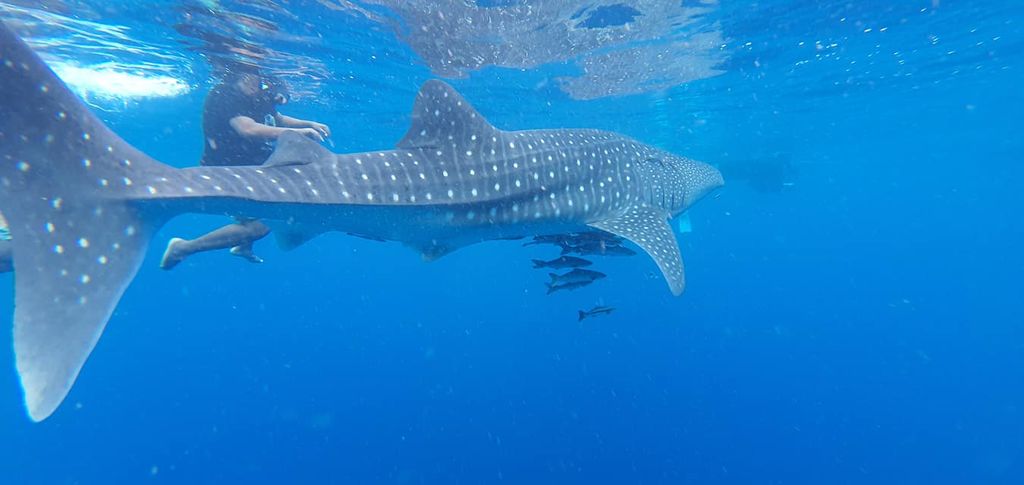 da530cd3-e6da-487e-80fd-f423790c8e4b