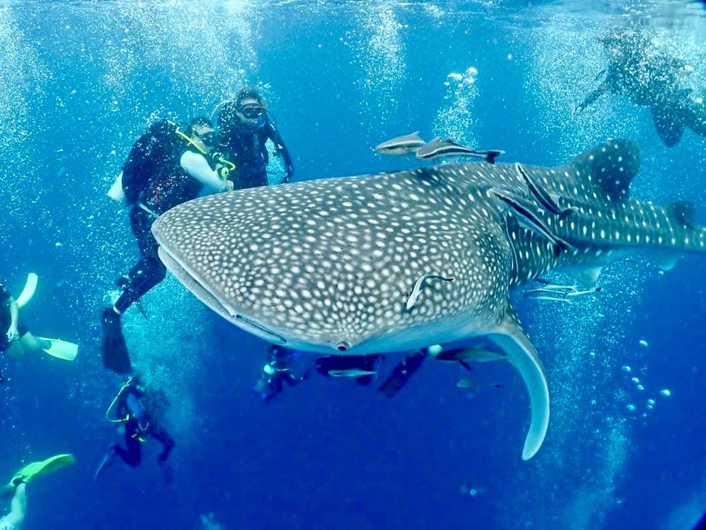 da530cd3-e6da-487e-80fd-f423790c8e4b