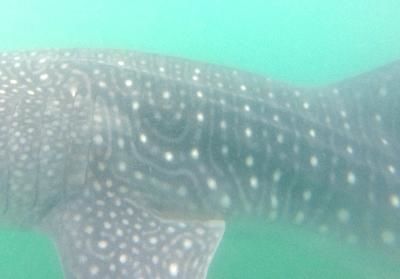 840be8a1-2881-4b6d-b2b9-ae07dd4b5bb5