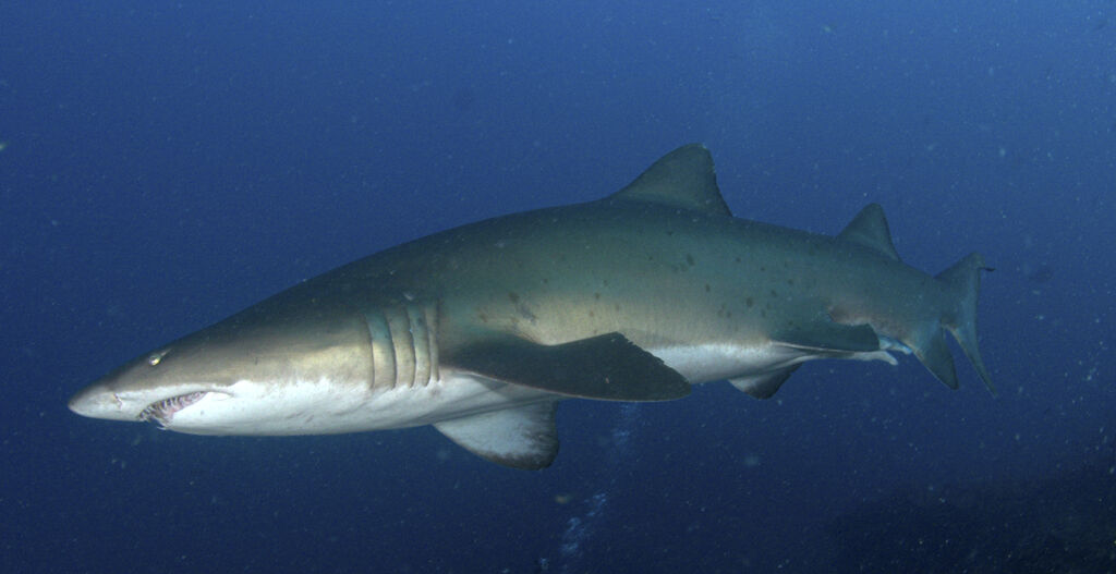 070977c5-abf4-4276-a23d-451a2fc95bd6