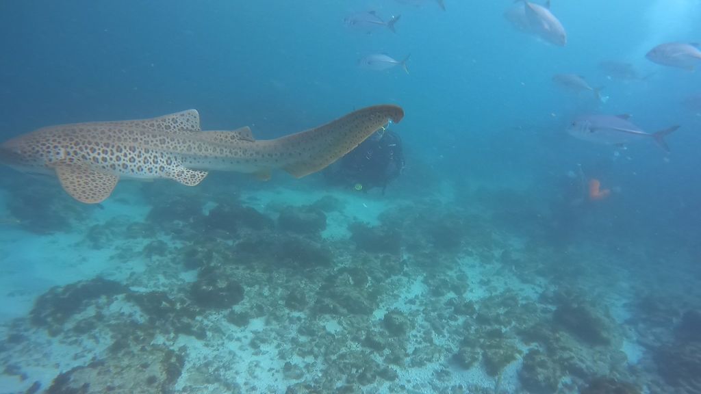 e6b815f3-e59d-4931-87af-9458956bc132