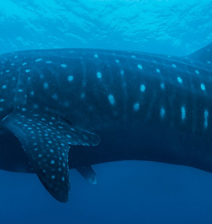 12fbddd3-d367-4297-88c8-3333185a2c1f