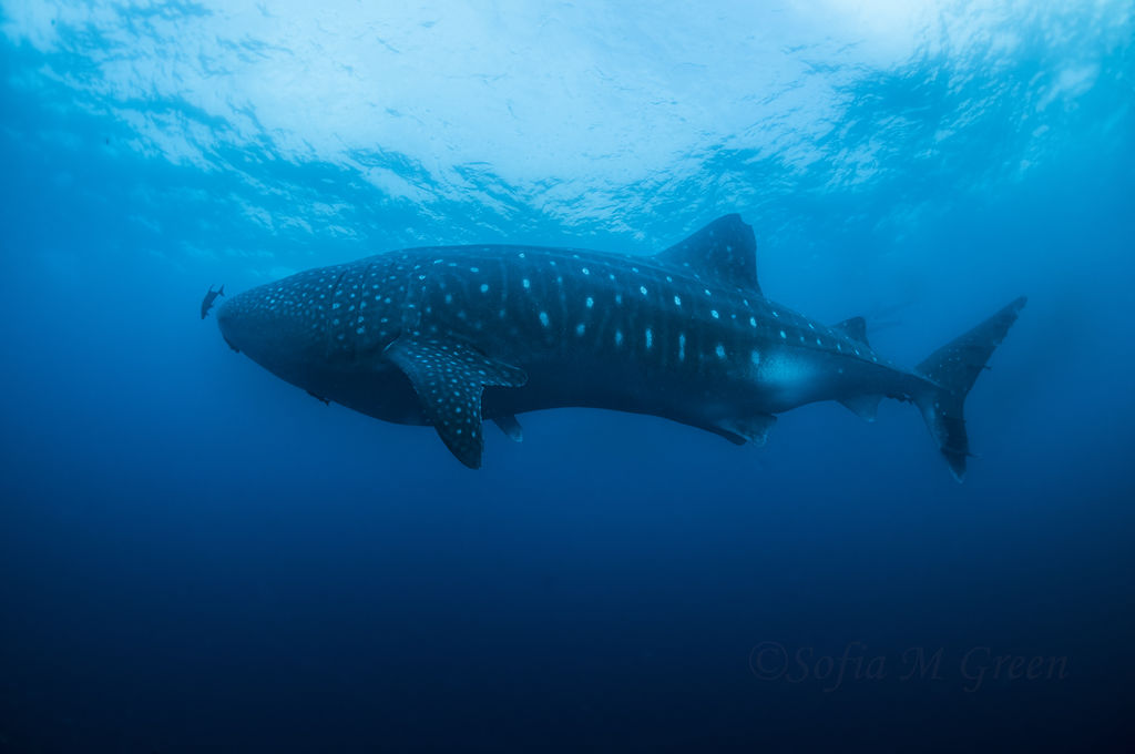 12fbddd3-d367-4297-88c8-3333185a2c1f