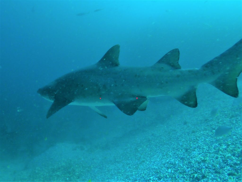 b1a8977e-8054-49b7-8406-257173e80979