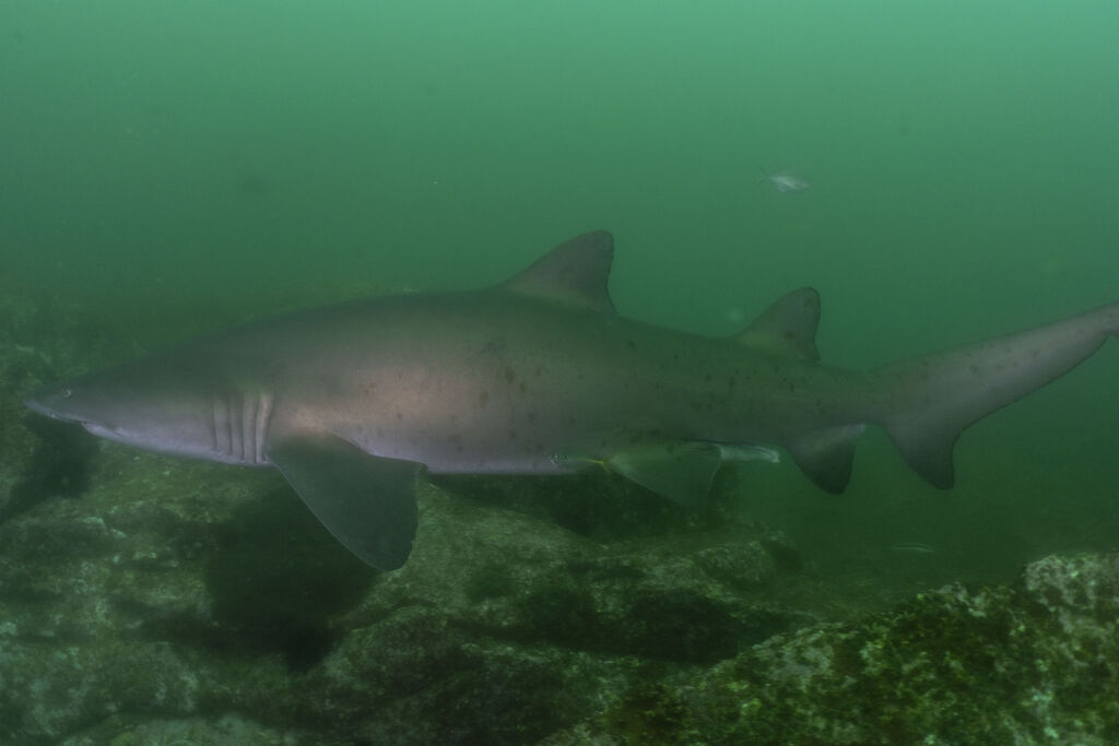 ee626045-9bdd-4642-9fd6-ec1389c9688a