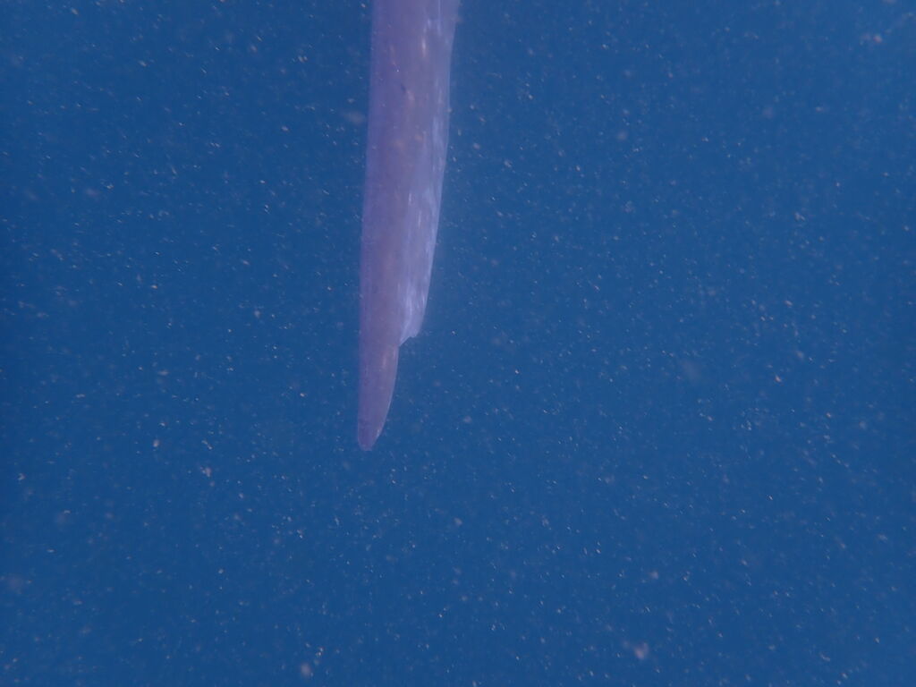 9959803a-780f-4f79-8826-fc4b2c53a32c