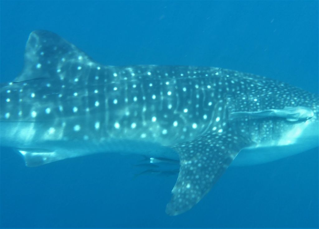 d45b8fd6-caef-4a39-8bcd-15687b199bf0